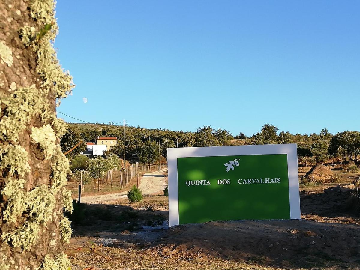 Quinta Dos Carvalhais - Serra Da Estrela Fornos de Algodres Exterior foto