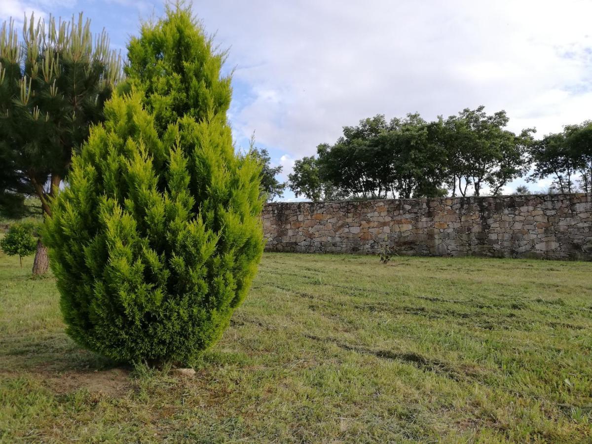 Quinta Dos Carvalhais - Serra Da Estrela Fornos de Algodres Exterior foto