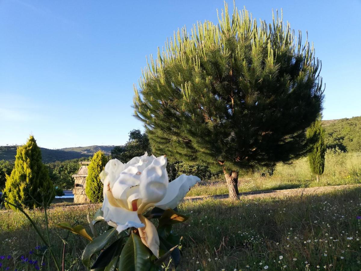 Quinta Dos Carvalhais - Serra Da Estrela Fornos de Algodres Exterior foto