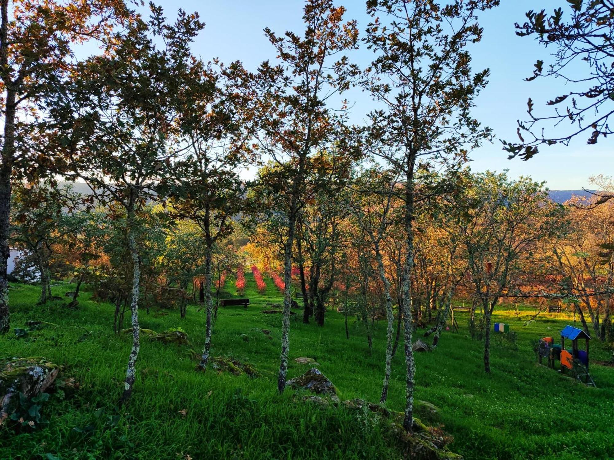 Quinta Dos Carvalhais - Serra Da Estrela Fornos de Algodres Exterior foto