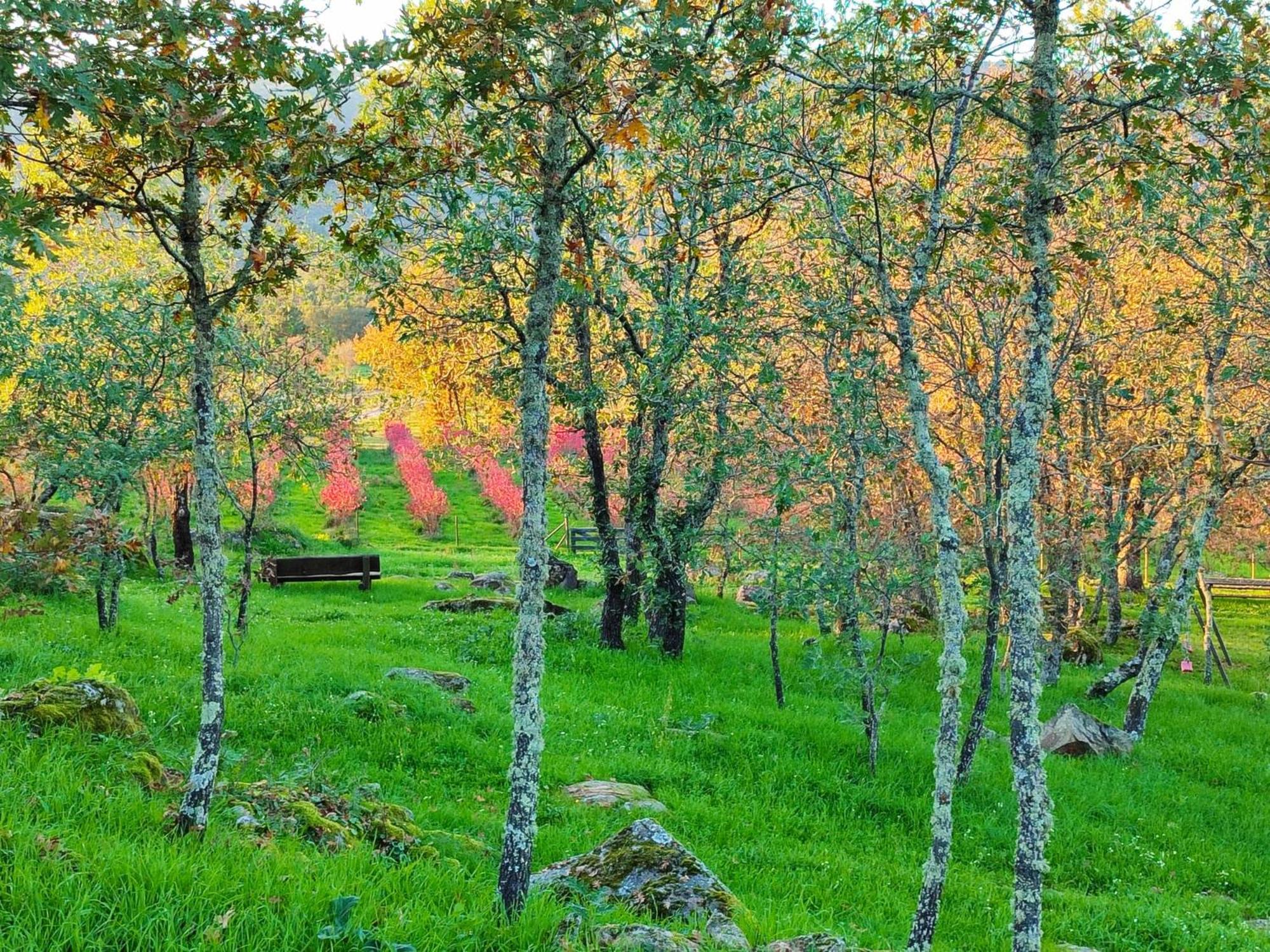 Quinta Dos Carvalhais - Serra Da Estrela Fornos de Algodres Exterior foto