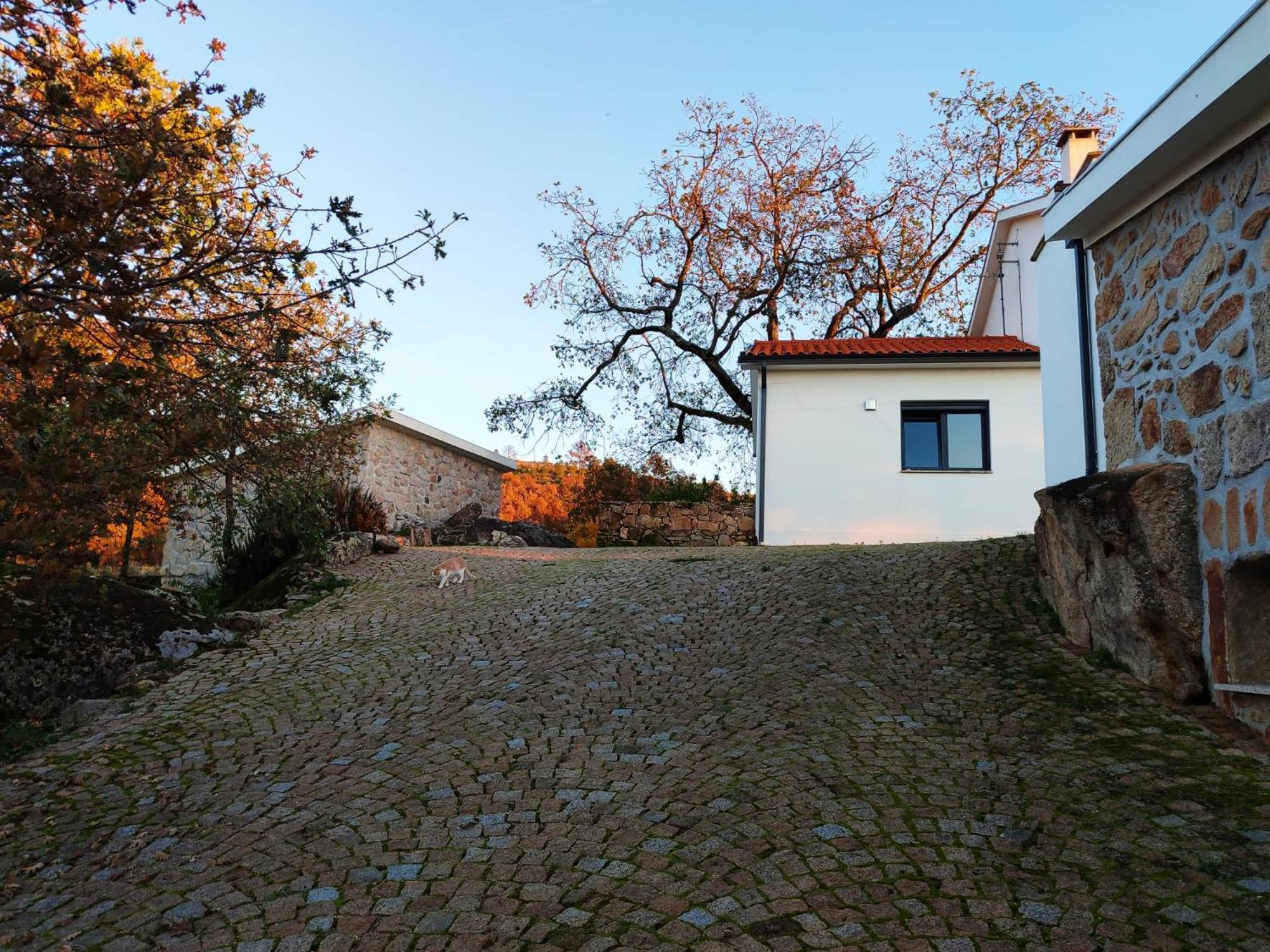 Quinta Dos Carvalhais - Serra Da Estrela Fornos de Algodres Exterior foto