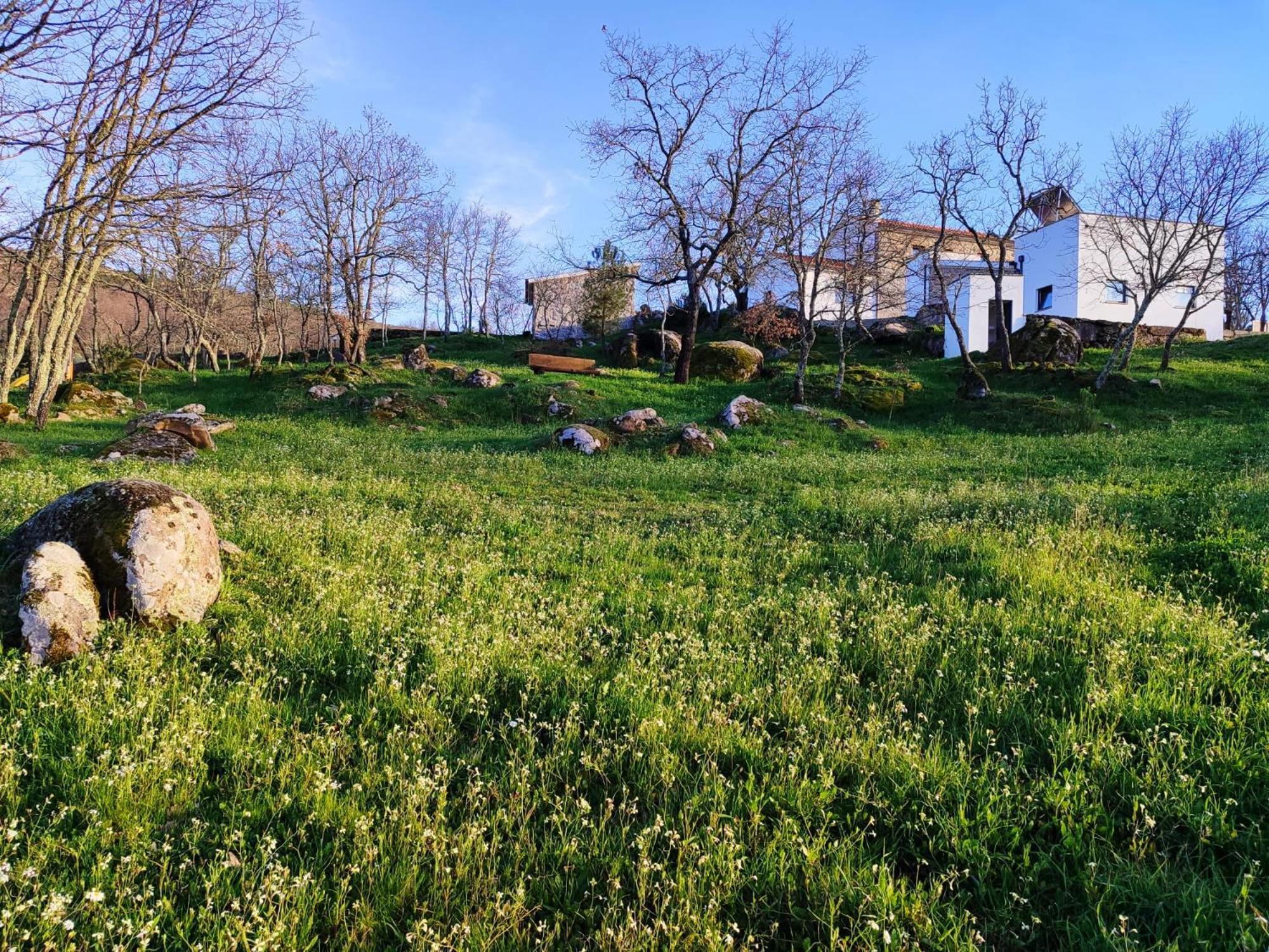 Quinta Dos Carvalhais - Serra Da Estrela Fornos de Algodres Exterior foto